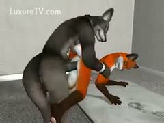 Vixen engulfing hard penis of fox